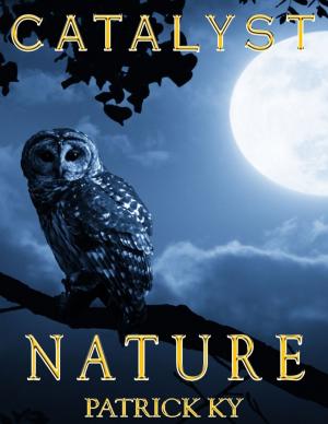 Cover of the book CATALYST NATURE by Andrew Grey