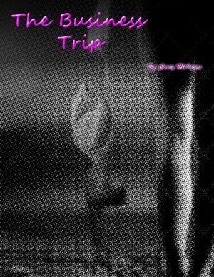 Cover of the book The Business Trip by Lily. Weidner