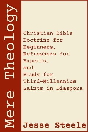 Book cover of Mere Theology