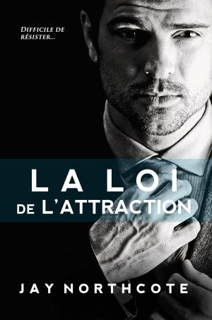 Cover of the book La Loi de l'Attraction by Elysabeth Eldering