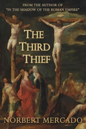 Cover of the book The Third Thief by Deidra Scott