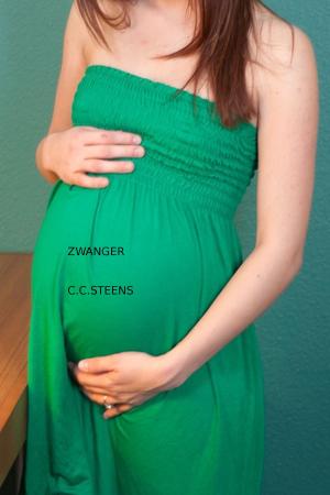 Cover of the book Zwanger by CC Steens