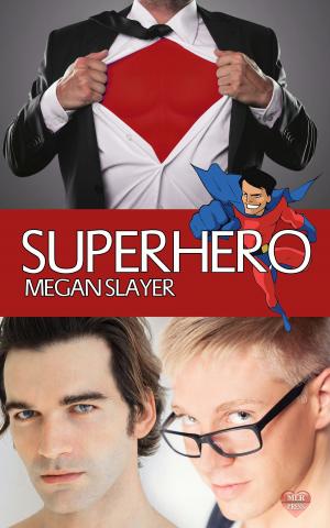 Cover of the book Superhero by Ally Blue