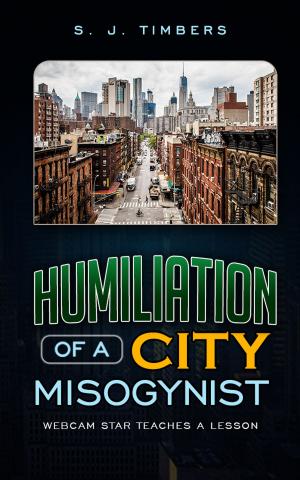 Cover of the book Humiliation of a City Misogynist: Webcam Star Teaches a Lesson by littleJC