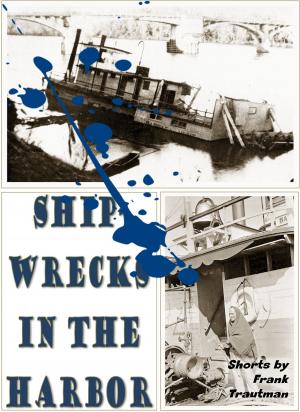 bigCover of the book Shipwrecks in the Harbor by 