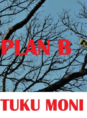 Cover of the book Plan B by Chris Michael