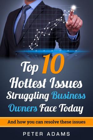 Cover of the book Top 10 Hottest Issues Struggling Business Owners Face Today in 2017 by Victor Lucas