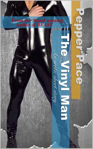 Cover of the book The Vinyl Man by Joshua Edward Smith