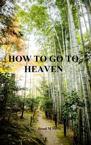 bigCover of the book How to Go to Heaven by 