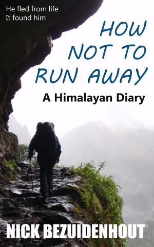 Cover of the book How Not To Run Away: A Himalayan Diary by Stephen John