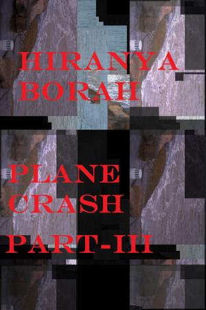 Book cover of Plane Crash Part-III