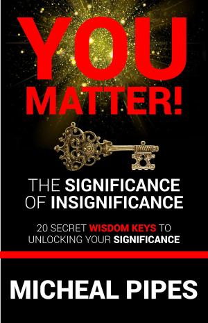 Cover of You Matter The Significance of Insignificance 20 Secret Wisdom Keys to Unlock Your Significance