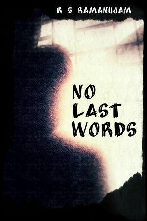 bigCover of the book No Last Words by 