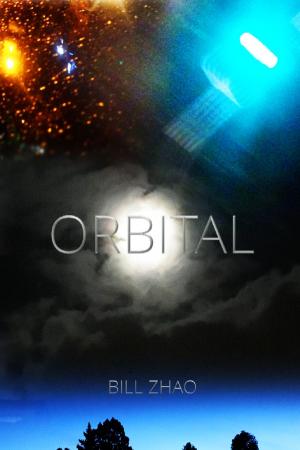Cover of the book Orbital by TP Hogan
