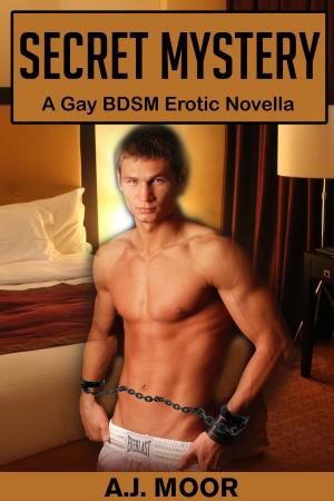 Cover of Secret Mystery: A Gay Bondage Erotic Novella