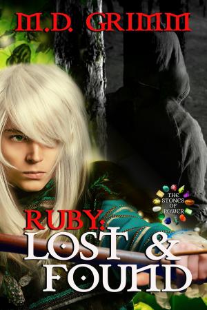 Cover of the book Ruby: Lost and Found (The Stones of Power Book 1) by J.D. Rogers