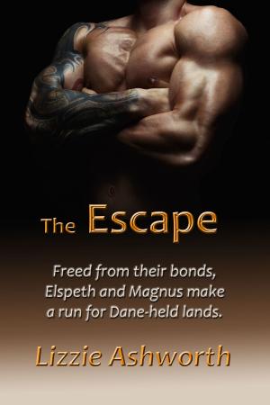 Cover of the book The Escape by Lizzie Ashworth