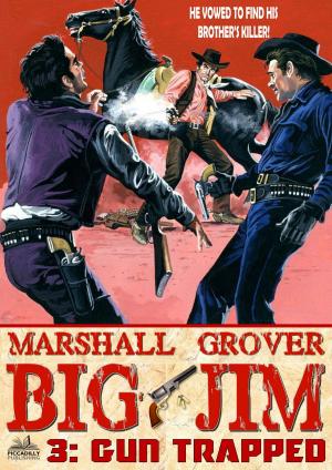 Cover of the book Big Jim 3: Gun Trapped by JR Roberts
