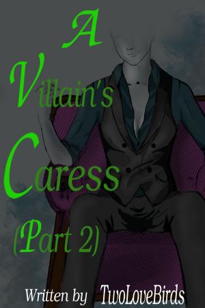 Cover of A Villain's Caress (Part 2)