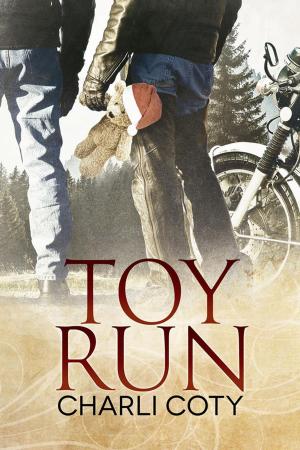 bigCover of the book Toy Run by 