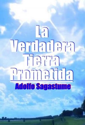 Cover of the book La Verdadera Tierra Prometida by Adolfo Sagastume