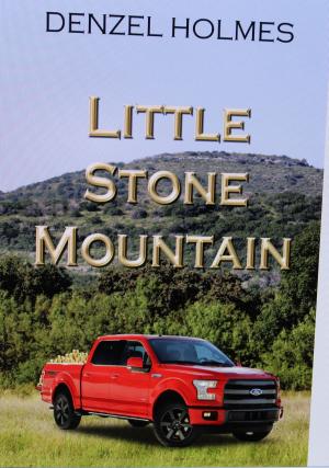 Book cover of Little Stone Mountain