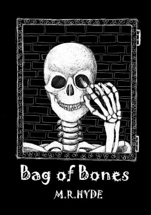 Cover of the book Bag of Bones by Ruth Nestvold