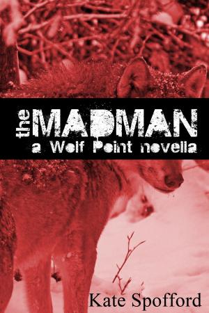 bigCover of the book The Madman: A Wolf Point Novella by 