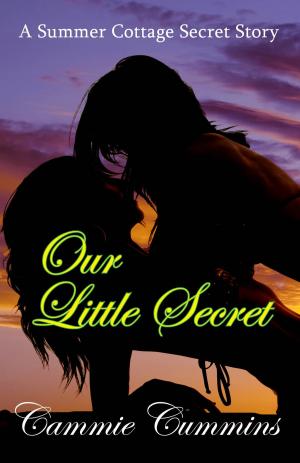 Cover of the book Our Little Secret by Cammie Cummins