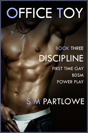 Book cover of Office Toy - Discipline : First Time Gay BDSM Power Play (Series Book Three)