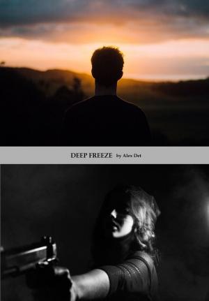 Cover of the book Deep Freeze by Barbara Jaques