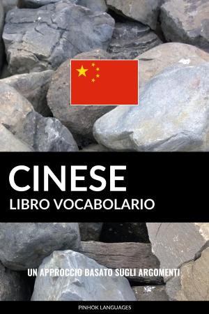 Cover of Libro Vocabolario Cinese: Un Approccio Basato sugli Argomenti