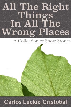 Cover of All The Right Things In All The Wrong Places