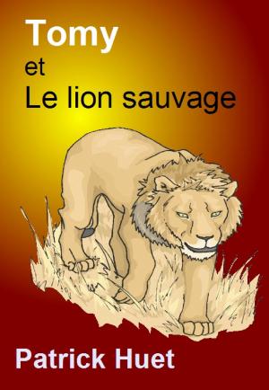 Book cover of Tomy Et Le Lion Sauvage