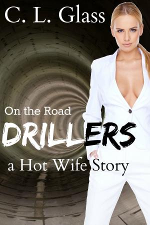 Cover of the book On the Road: Drillers by Sally Wentworth