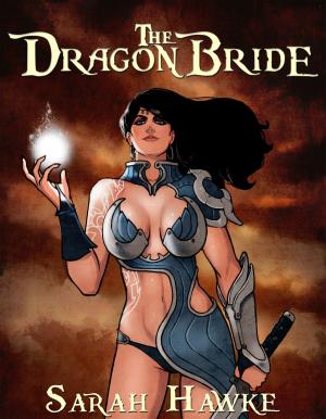 Cover of the book The Dragon Bride by Sarah Hawke