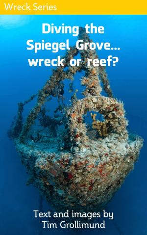 Cover of the book Diving the Spiegel Grove... Wreck or Reef? by Leonard Lowe