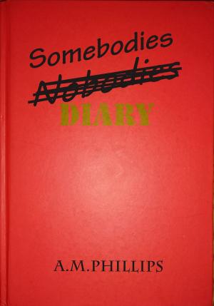 Book cover of Somebodies Diary