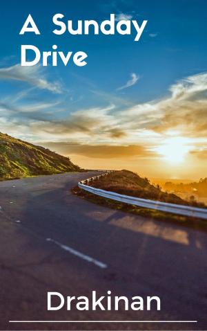 Book cover of A Sunday Drive