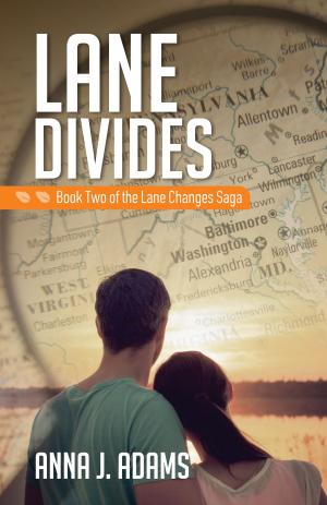 Book cover of Lane Divides
