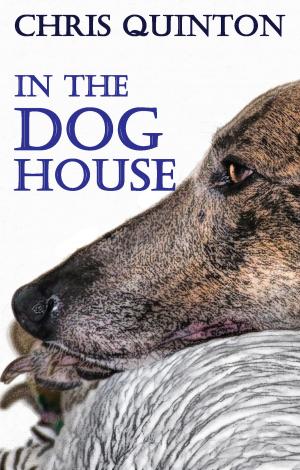 Book cover of In The Doghouse