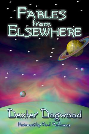 Cover of the book Fables from Elsewhere by Verónica Prieto