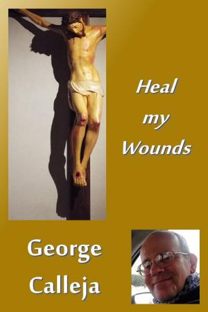 bigCover of the book Heal my Wounds by 