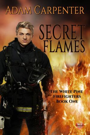 Cover of the book Secret Flames by AKM Miles