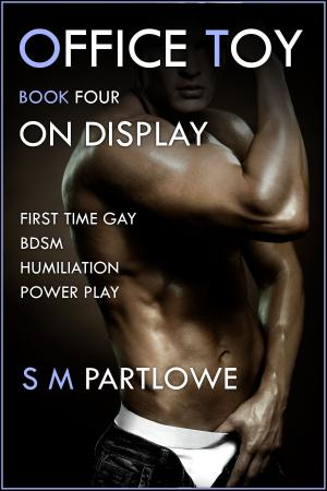 Book cover of Office Toy - On Display : First Time Gay BDSM Humiliation Power Play (Series Book Four)