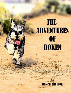Cover of the book The Adventures of Boken by J.Q. Rose