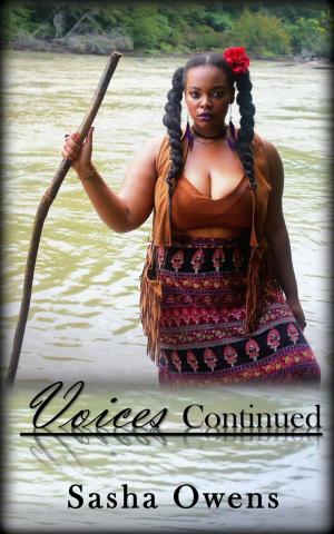 Book cover of Voices Continued