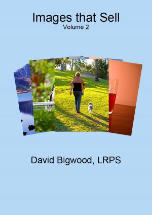Cover of the book Images That Sell Volume 2 by David Bigwood