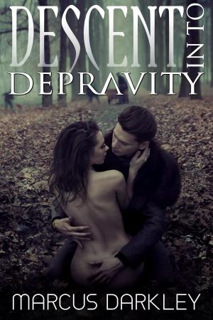 Cover of the book Descent Into Depravity by CJ Edwards