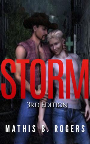 Cover of the book Storm by Serge Philippe